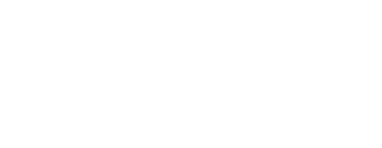 Blue Fox Capital Corporation