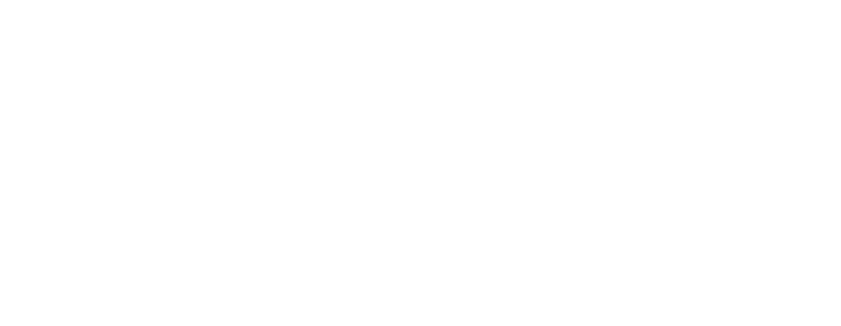 Blue Fox Capital Corporation